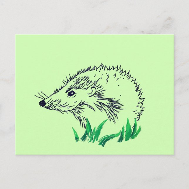Cartão Postal Cartão-postal Personalizado de Desenho Hedgehog (Frente)