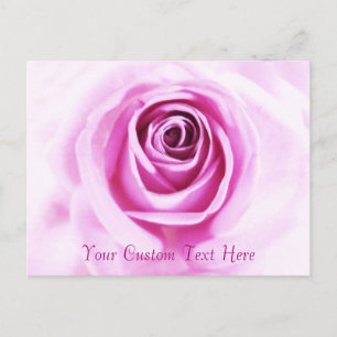 Cartão Postal Cartão-postal personalizado Rosa Rosa com o Amor