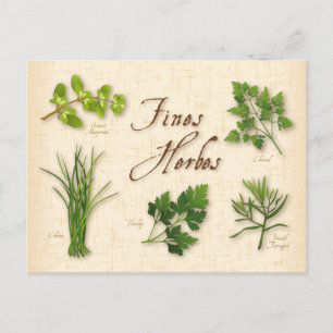 Cartão Postal Cartão-postal Personalizar Multas Herbs