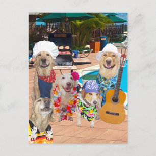 Cartão Postal Cartão-postal Personalizável de Festa de Piscina E
