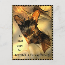 Cartão Postal Cartão-postal personalizável do Yorkie com sono
