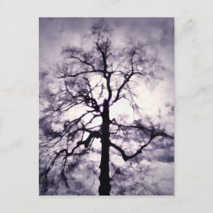 Cartão Postal Cartão-postal Phantastes