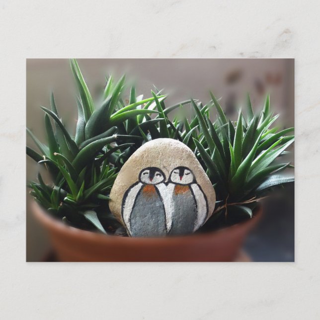 Cartão Postal Cartão-postal Pinguins Pintados com Pedra (Frente)