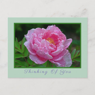 CARTÃO POSTAL, CARTÃO POSTAL "PINK PEONY/PENSANDO