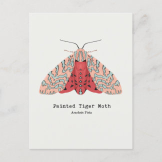 Cartão Postal Cartão-postal Pintado Tiger Moth