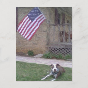 Cartão Postal Cartão-postal Pit Bull/BSL