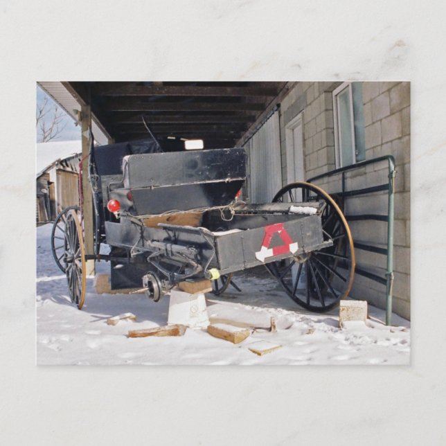 Cartão Postal Cartão-postal plano Amish (Frente)