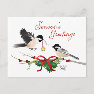 Cartão Postal Cartão-postal plano de natal Chickadees