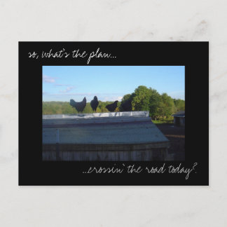 Cartão Postal Cartão-postal 'Planos de Galinha'