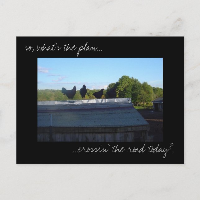 Cartão Postal Cartão-postal 'Planos de Galinha' (Frente)