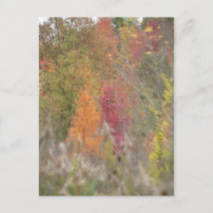 Cartão Postal Cartão-postal "Pointillist's Autumn"