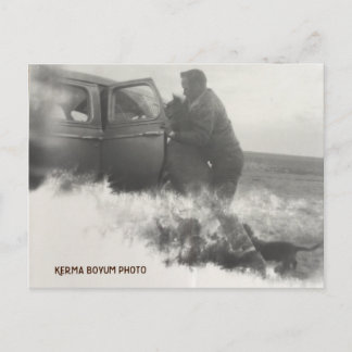 Cartão Postal Cartão-postal Pony no carro