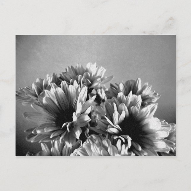 Cartão Postal Cartão-postal preto e branco borrado (Frente)