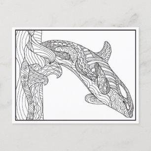 Cartão Postal Cartão-postal preto e branco da Orca