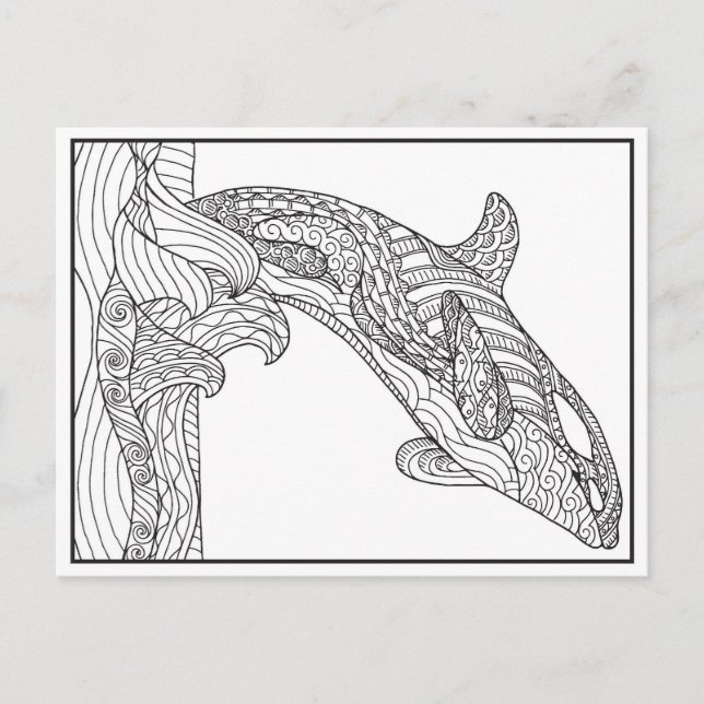Cartão Postal Cartão-postal preto e branco da Orca (Frente)