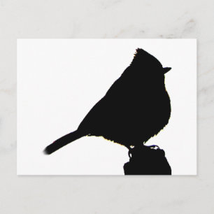 Cartão Postal Cartão-postal preto e branco Oak Titmouse