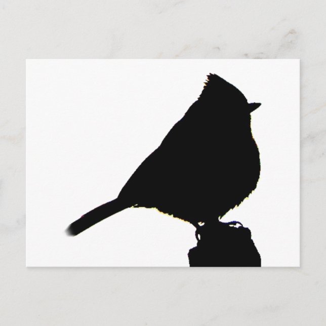 Cartão Postal Cartão-postal preto e branco Oak Titmouse (Frente)