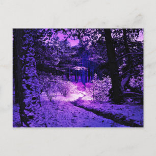 Cartão Postal Cartão-postal preto-e-preto-roxo
