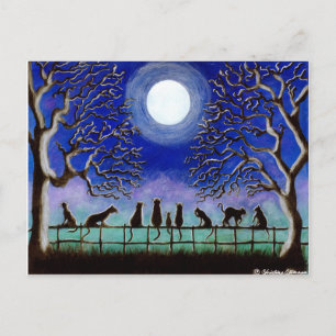 Cartão Postal Cartão-postal,Preto,felinos,paisagem,dia a dia,Hal