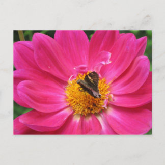 Cartão Postal Cartão-postal Primavera Bloom