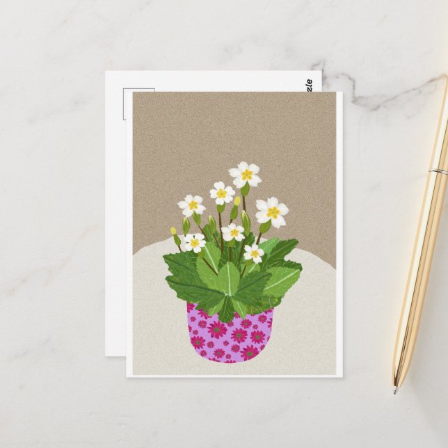 Cartão Postal Cartão-postal Primrose (Frente/Verso In Situ)