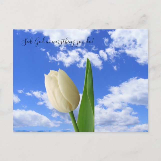 Cartão Postal Cartão-postal Procurar Deus Branco Tulip Azul Céu (Frente)