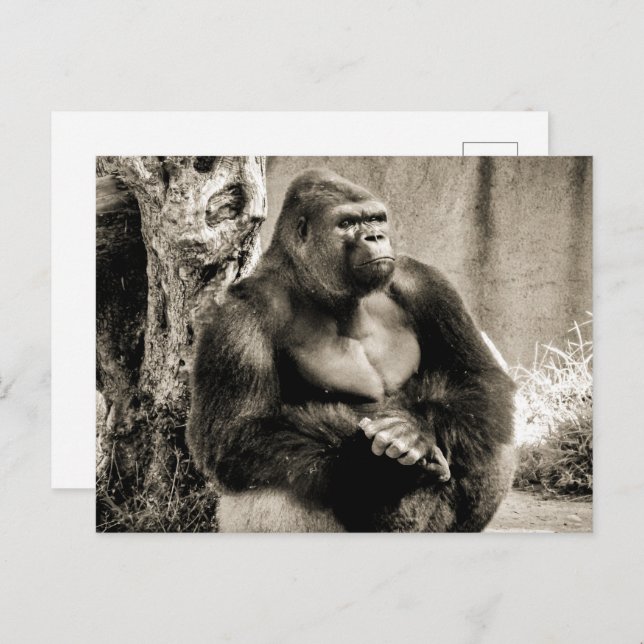 Cartão Postal Cartão-postal PROFUNDO (Frente/Verso)