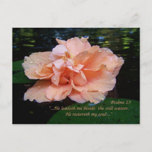 Cartão Postal Cartão-postal Psalms 23