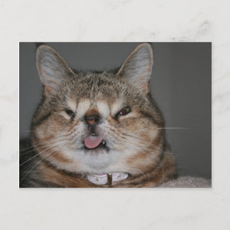 Cartão Postal Cartão-postal quase