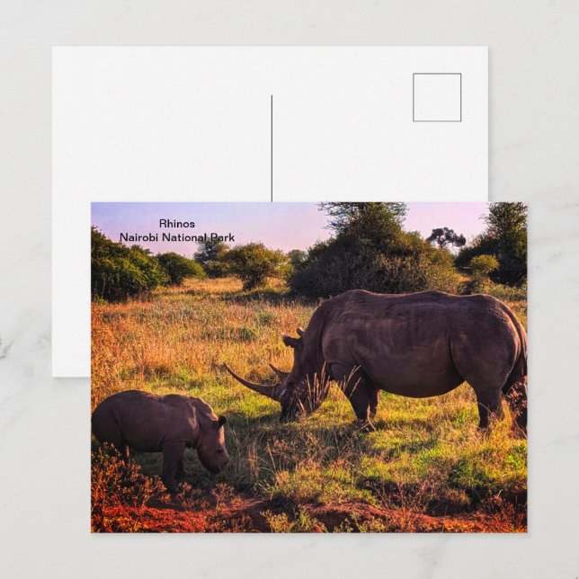 Cartão Postal Cartão-postal Quênia (Frente/Verso)