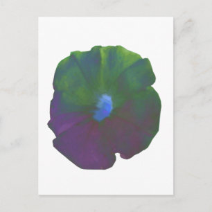 Cartão Postal Cartão-postal Rainbow Petunia