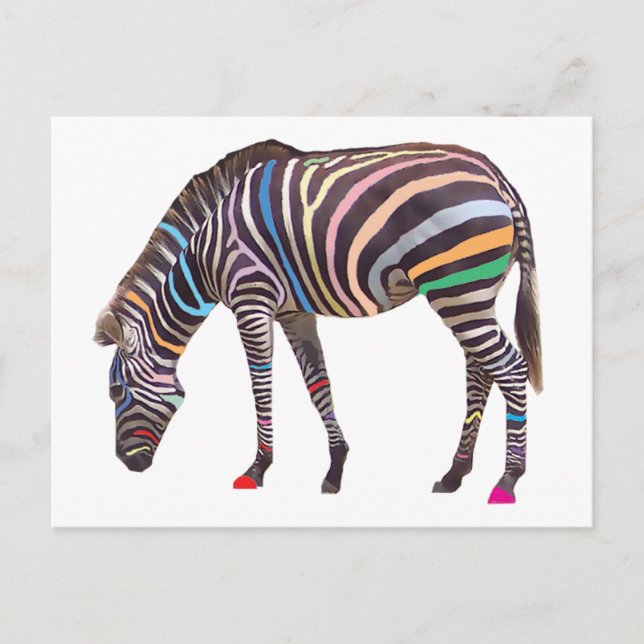 Cartão Postal Cartão-postal Rainbow Zebra (Frente)