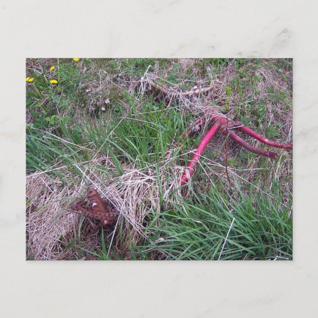 Cartão Postal Cartão-postal Red Bike Antigo (Frente)