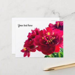 Cartão Postal Cartão-postal Red Peony