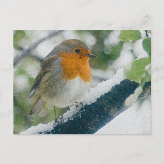 Cartão Postal Cartão-postal Robin Snowy (Frente)