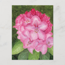 Cartão Postal Cartão-postal rosa Azalea
