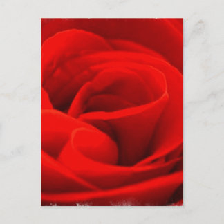 Cartão Postal Cartão-postal rosa Blossom