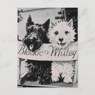 Cartão Postal * Cartão-postal rosa Bonito clássico *