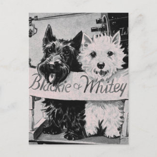 Cartão Postal * Cartão-postal rosa Bonito clássico *