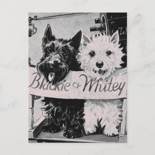 Cartão Postal * Cartão-postal rosa Bonito clássico * (Frente)