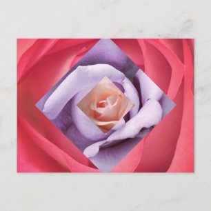Cartão Postal Cartão-postal rosa Diamond