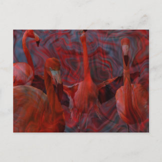 Cartão Postal Cartão-postal rosa "Flamingo Dance"