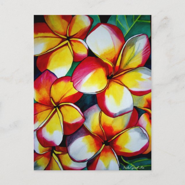 Cartão Postal Cartão-postal rosa Frangipanis de Sacha Grossel Ar (Frente)