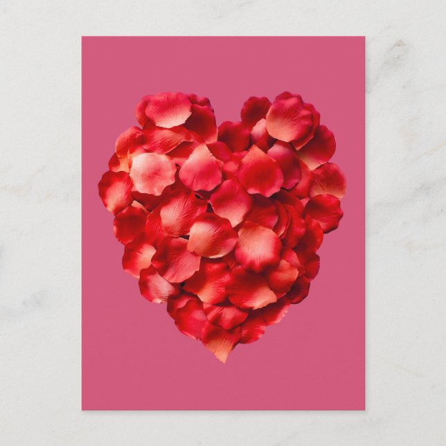 Cartão Postal Cartão-postal rosa Petal (Frente)