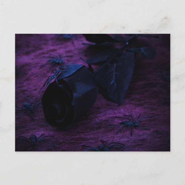 Cartão Postal Cartão-postal Rosa preto (Frente)