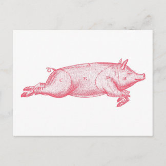 Cartão Postal Cartão-postal rosa-rosa