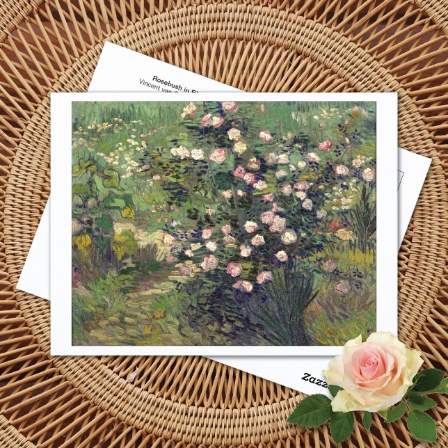 Cartão Postal Cartão-postal Rosebush no Blossom Vincent van Gogh (Criador carregado)