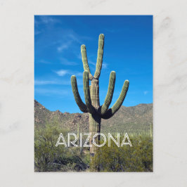 Cartão Postal Cartão-postal Saguaro Cactus
