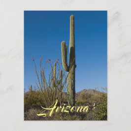 Cartão Postal Cartão-postal Saguaro Cactus