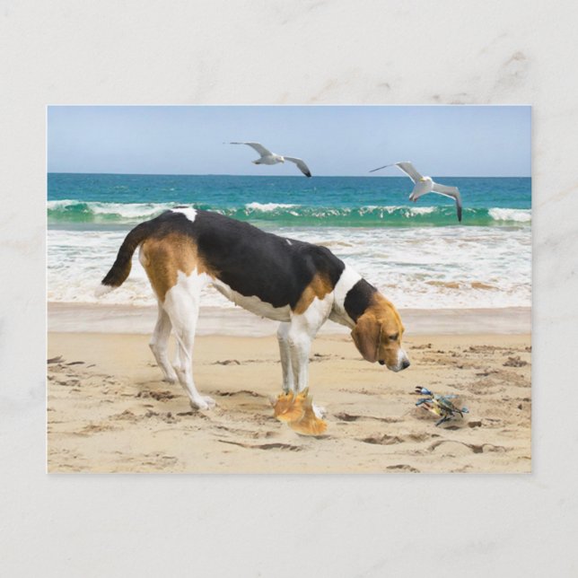 Cartão Postal Cartão-postal "Sally & The Crab" (Frente)